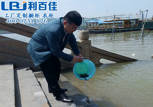 放生有感——利百佳帶您放飛夢想，領(lǐng)悟生活